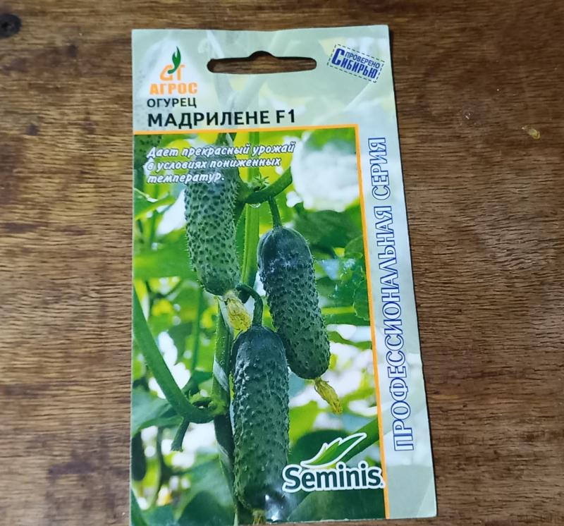 огурцы