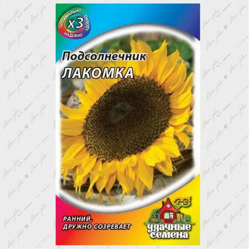 коллаж