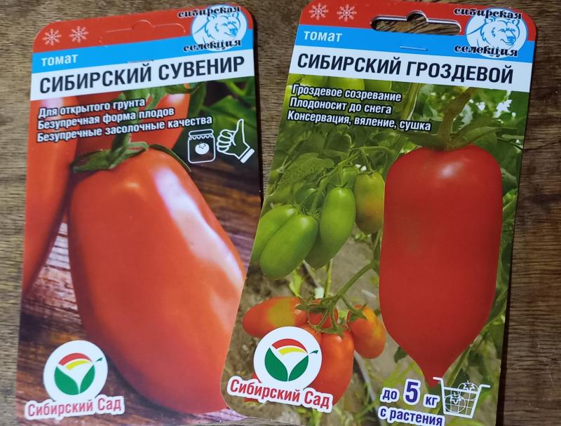 томаты