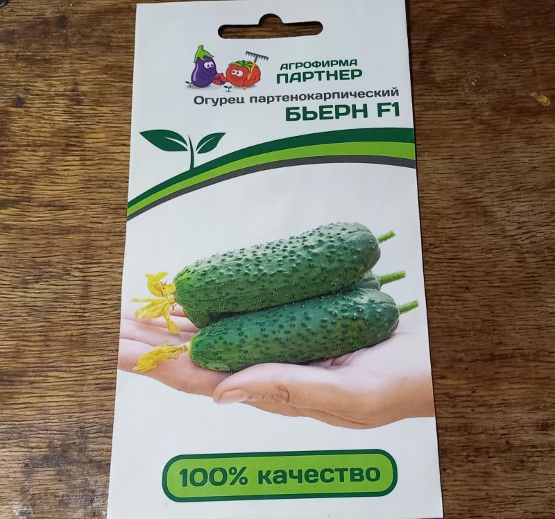 семена