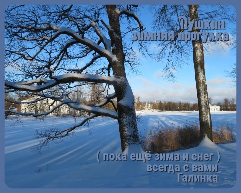 Зимний парк