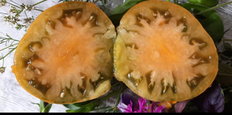 Мясистая мякоть томата