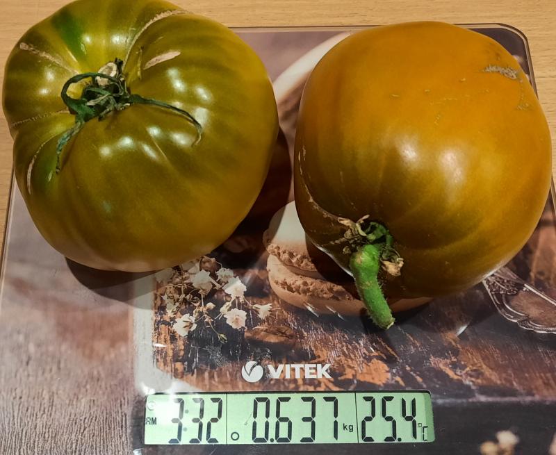 Средняя масса плода 300 грамм